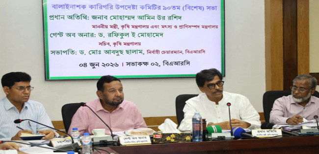 News images